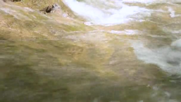 Bergwald schneller Fluss mit klarem Wasser fließt nach unten. Nahaufnahme, sonniger Tag — Stockvideo