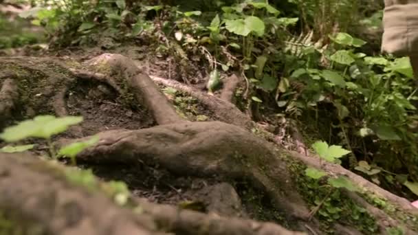 Gros plan. Les jambes d'un homme. Voyageur va pieds nus sur la route rocheuse, grimpe par la rivière 