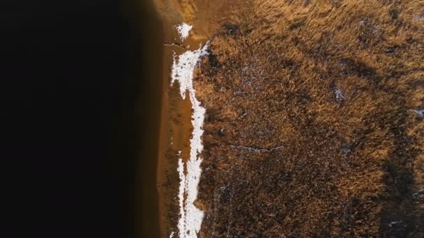 Aerial top view of the shoreline on a warm winter day. Yellow grass and pieces of snow on the shore. Global warming concept. Forward movement — Stock Video