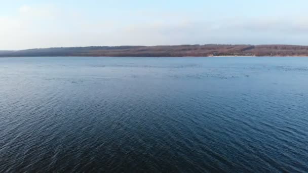 큰 호수에서 평화롭게 헤엄치고 있는 한 무리의 말 라드 오리를 공중에서 본 것이다. 육체미의 야생 오리들 — 비디오