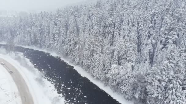 Вид с воздуха на проселочную дорогу зимой возле реки и хвойный лес во время снегопада. Концепция зимней погоды и зимних осадков — стоковое видео