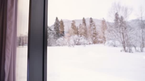 Porträtt av attraktiv frilansande kvinna med glasögon och en tröja med strumpor sitter på en säng i ett eko-hus mitt i en vinterskog med en bärbar dator — Stockvideo