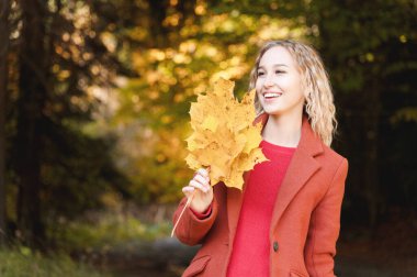 Elinde sarı yapraklardan bir buket olan kırmızı ceketli çekici bir sarışının portresi. Bir virüs salgını sırasında orman yürüyüşü rüyası. Ormanda sonbahar modası