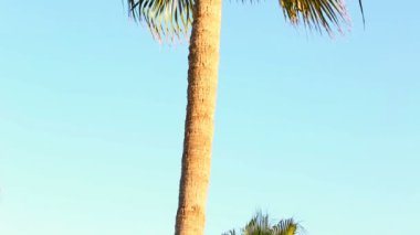 Dalgalar kayalara çarpıyor