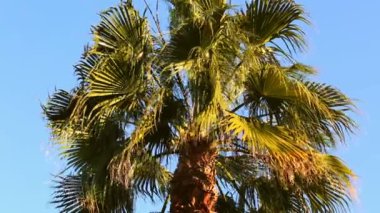 Dalgalar kayalara çarpıyor