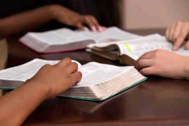 Womens Devotional Bible Study clipart