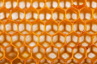 Altıgen arı bal tarak