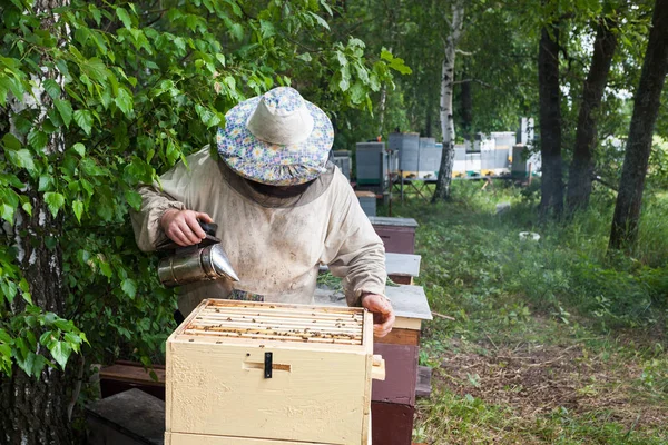 Apicultor inspeciona abelhas — Fotografia de Stock