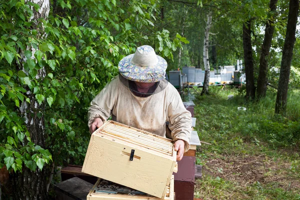 養蜂家が蜂を検査します。 — ストック写真