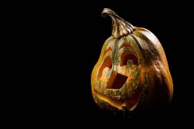 Cadılar Bayramı için balkabağı