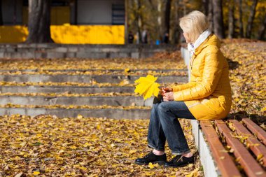 Akçaağaç yaprağı el içinde