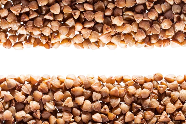 메 밀 곡물 — 스톡 사진