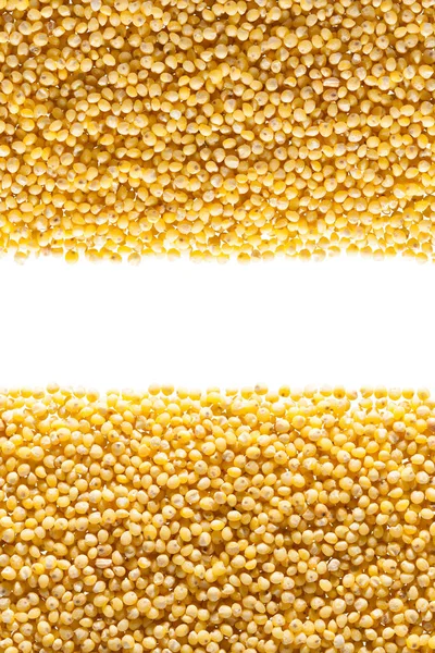 Grains from millet — Stock Photo, Image