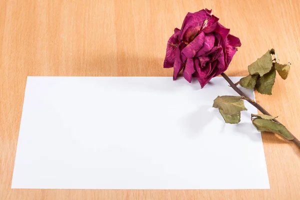 Dry rose with paper for writing text