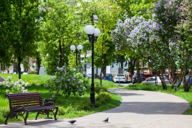 Parktaki dolambaçlı yollar, bahar parkı