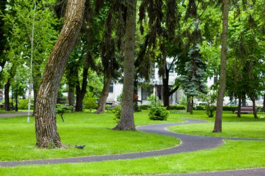 Parktaki dolambaçlı yollar, bahar parkı