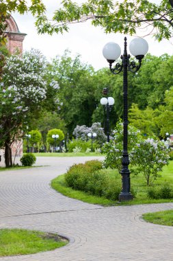 Parktaki dolambaçlı yollar, bahar parkı