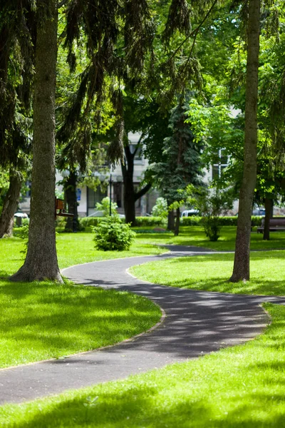 Parktaki dolambaçlı yollar, bahar parkı