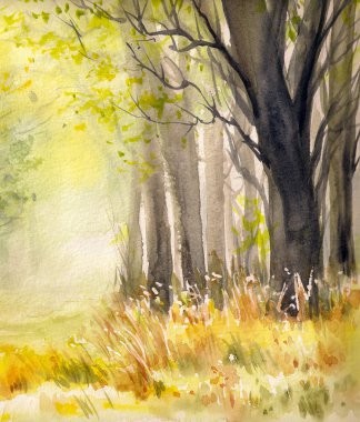 Ağaçlarda sonbahar forset.