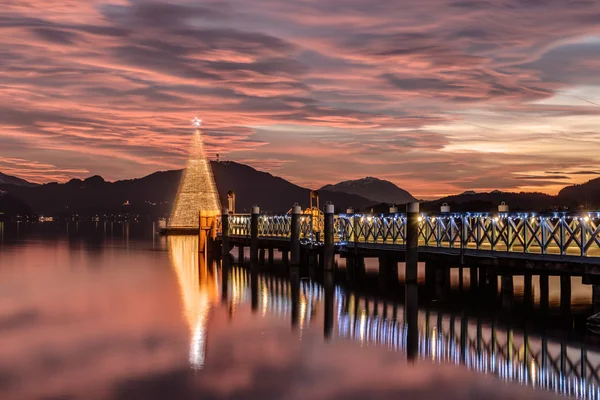 湖のクリスマス ツリー — ストック写真