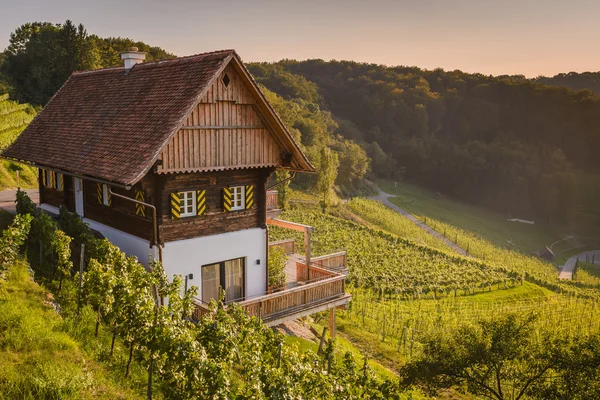 Štýrské krajina s domem — Stock fotografie