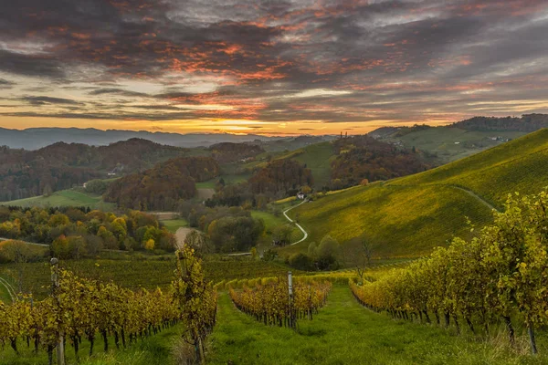 Paesaggio ladino con vigneti — Foto Stock