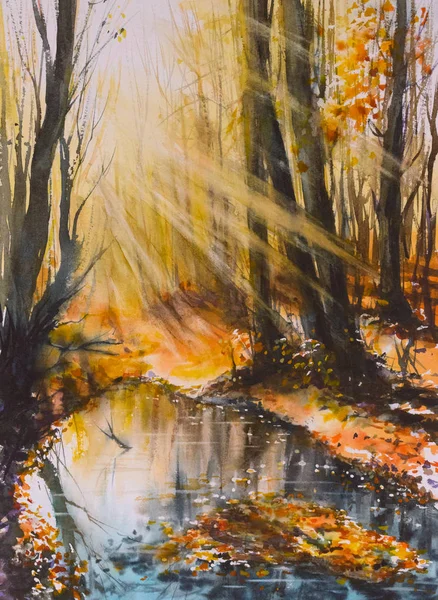 日当たりの良い秋の森 — ストック写真