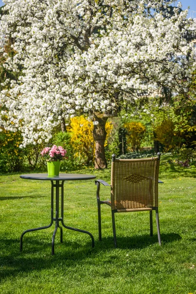 Avkopplande plats i trädgården — Stockfoto