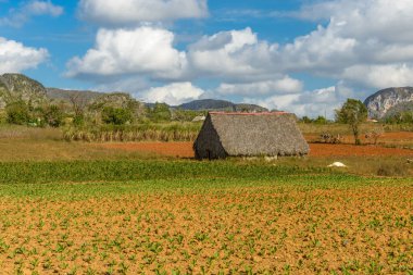 Valle de Vinales