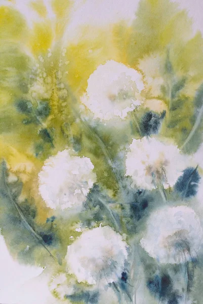 Dandelions watercolors painted — Stock Photo, Image