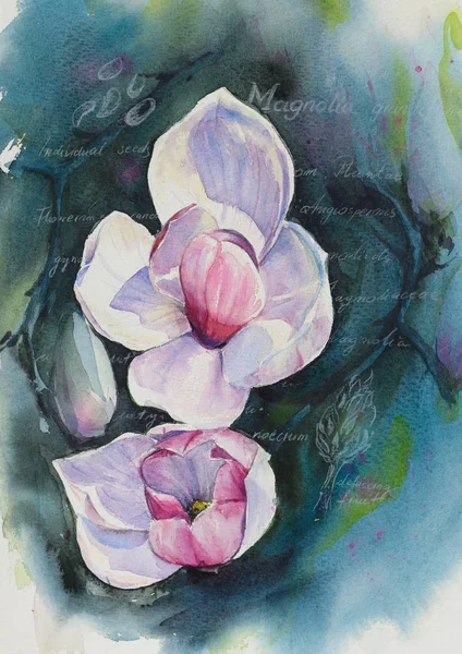 Magnolien-Aquarelle bemalt — Stockfoto