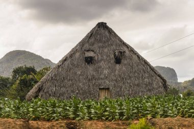 Vinales Küba Pinar del Rio eyaletinde