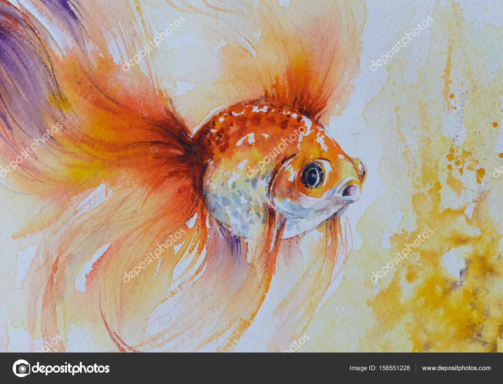 金魚 イラスト リアル かわいい無料イラスト素材 金魚 イラスト リアル かわいい無料イラスト素材