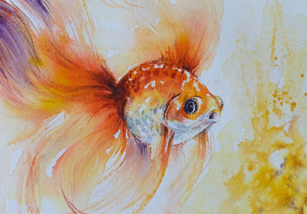 Zlatá rybka ve vodě. — Stock fotografie