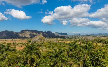 vinales Vadisi'ne Küba
