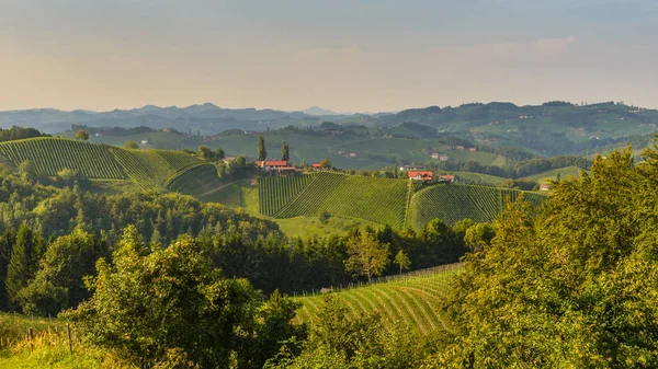 Steiermark sommarlandskap — Stockfoto