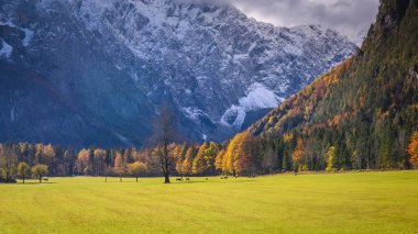Logarska valley (Logarska dolina) 