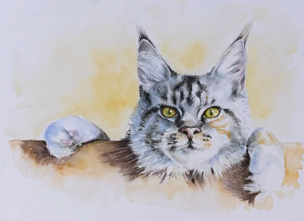 Peinture Chat Images Libres De Droit Photos De Peinture Chat Depositphotos