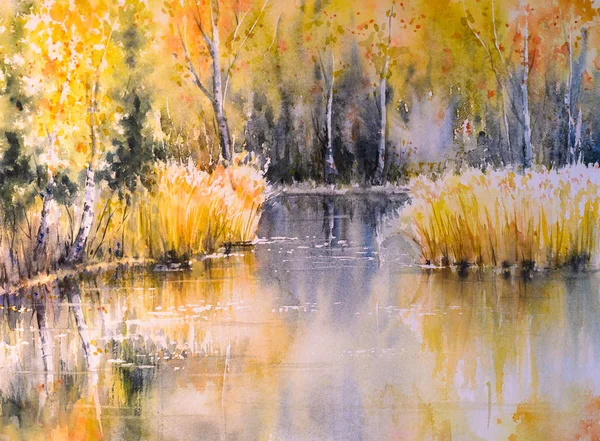 Lake Forest w kolorach jesieni — Zdjęcie stockowe