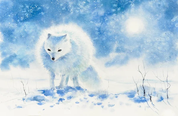 Polar Fox Col Winterdag Foto Gemaakt Met Aquarellen — Stockfoto