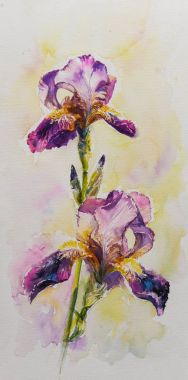 Arka plan, doku, sarıcı desen, çerçeve veya kenarlık için Aquarelle Iris çiçek.