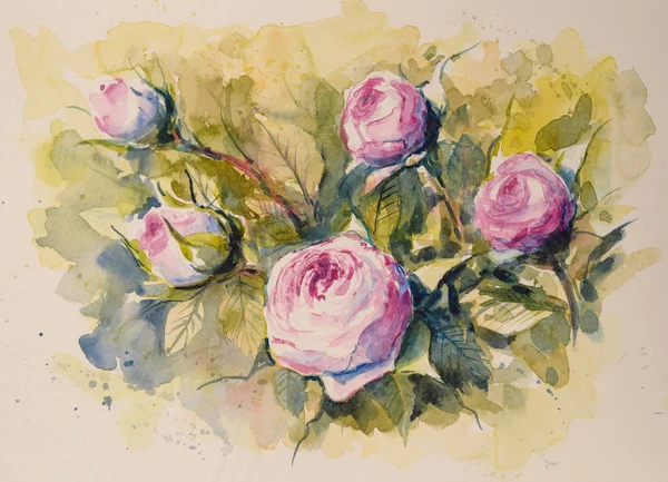 自然背景与粉红色玫瑰在花园里 用水彩创建的图片 — 图库照片