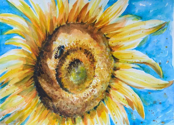 A watercolor drawing of bright golden sunflower with honey bee on blue background.