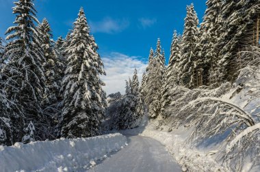 Karlı, kış manzara panoramik Solcava road, Logarska Dolina,Slovenia.A popüler turizm ve seyahat hedef.