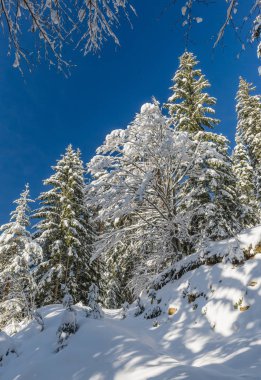 Karlı, kış manzara panoramik Solcava road, Logarska Dolina,Slovenia.A popüler turizm ve seyahat hedef.