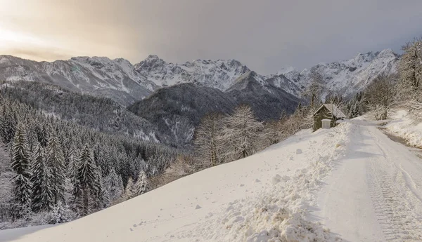 Nevado Paisagem Inverno Com Solcava Estrada Panorâmica Logarska Dolina Eslovénia — Fotografia de Stock