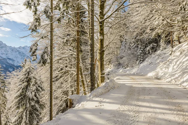 Paysage Hivernal Enneigé Avec Route Panoramique Solcava Logarska Dolina Slovène — Photo