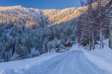 Karlı, kış manzara panoramik Solcava road, Logarska Dolina,Slovenia.A popüler turizm ve seyahat hedef.
