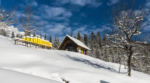 Snowy Vinterlandskap Med Solcava Panoramautveg Logarska Dolina Slovenia Populært Turist – stockfoto