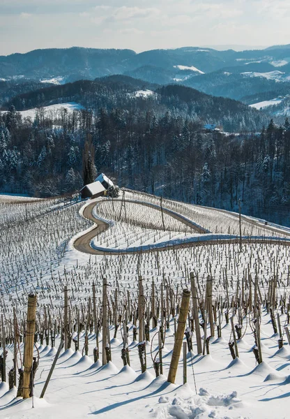 Famous Heart Shaped Wine Road Slovenia Winter Heart Form Herzerl — Stock Photo, Image